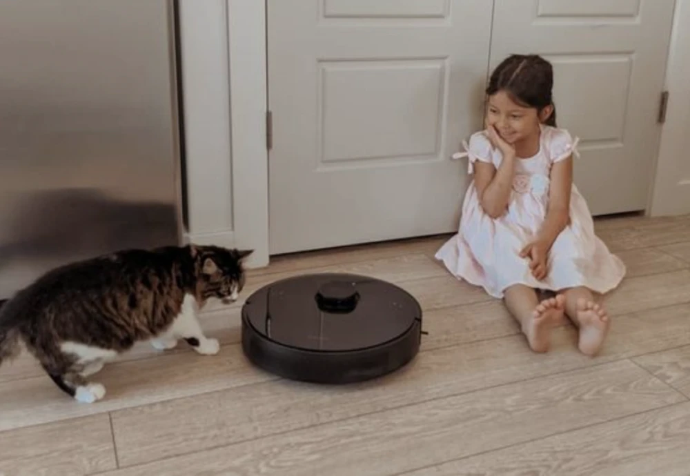 affordable robot vacuum cleaner